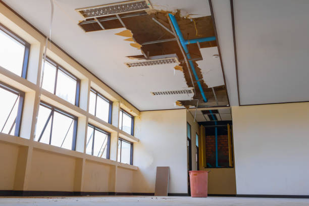 Best 24/7 water damage repair  in Centerfield, UT
