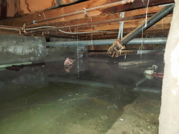 Fire Damage Restoration in Centerfield, UT