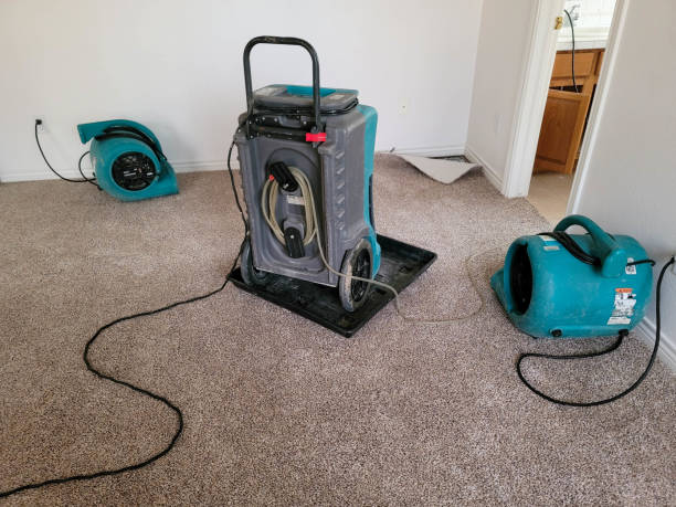 Best Local water damage restoration  in Centerfield, UT