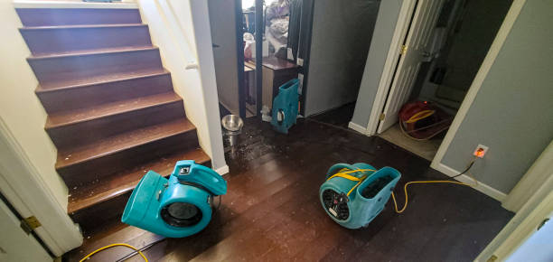 Best 24/7 water damage repair  in Centerfield, UT