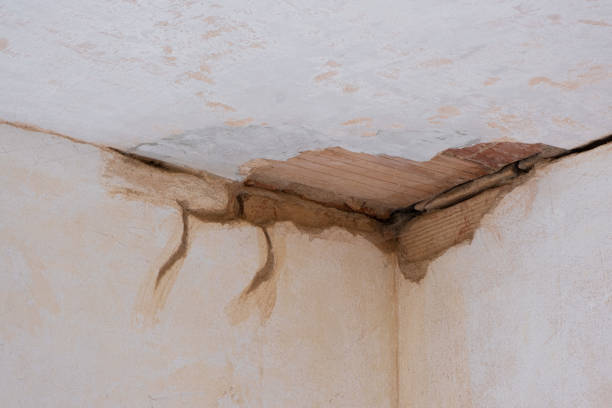 Best Carpet water damage restoration  in Centerfield, UT
