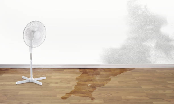 Carpet water damage restoration in Centerfield, UT