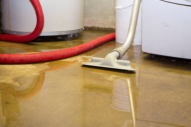 Best Ceiling water damage repair  in Centerfield, UT