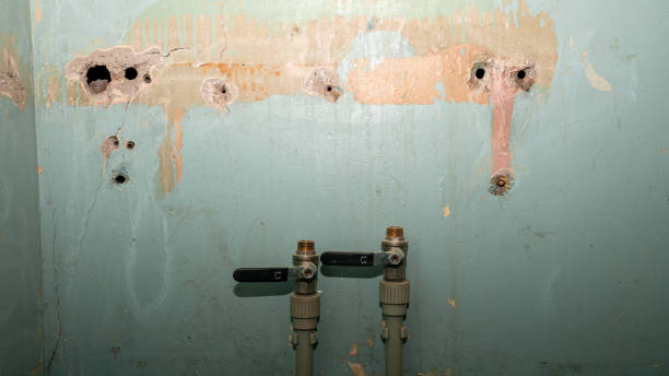 Best Flooded house restoration  in Centerfield, UT