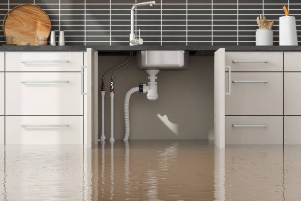 Best Water damage contractors near me  in Centerfield, UT