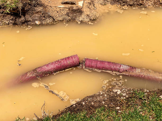 Best Local water damage restoration  in Centerfield, UT