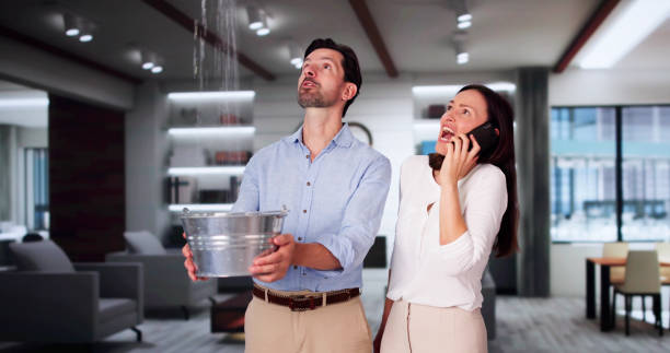 Best Local water damage restoration  in Centerfield, UT
