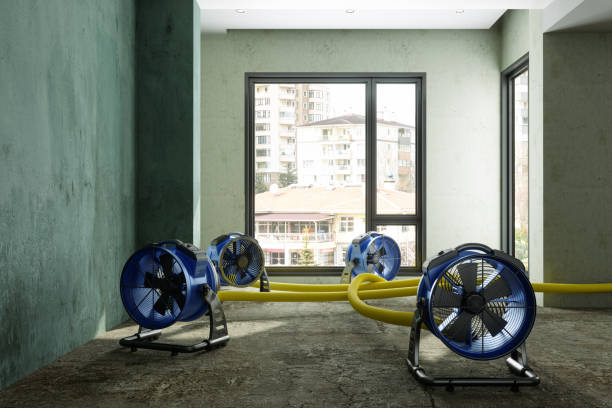 Best Water damage restoration company  in Centerfield, UT