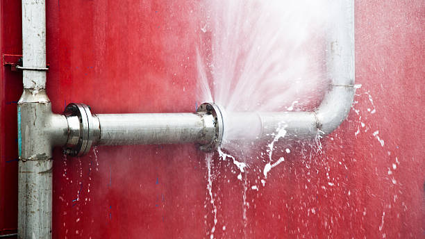 Best Mold removal after water damage  in Centerfield, UT